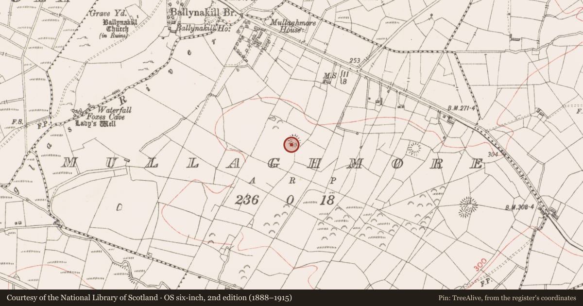 Ordnance Survey six-inch map, 2nd edition (1888–1915) covering the location of Ringfort - rath, Mullaghmore, County Sligo, with a pin at the register's coordinates