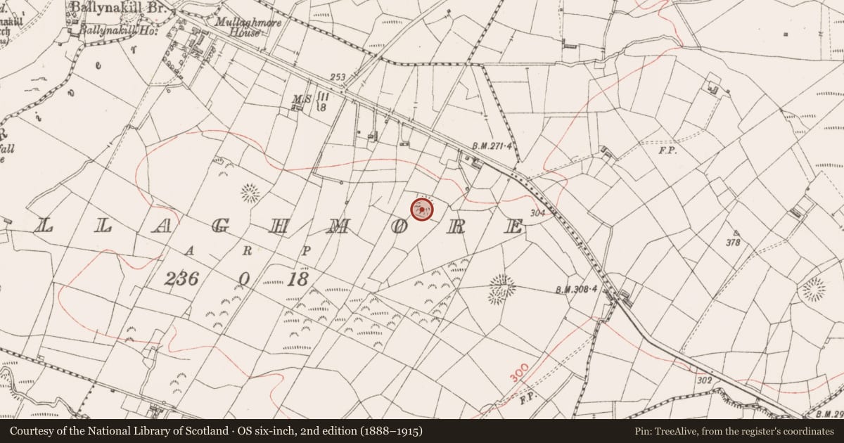 Ordnance Survey six-inch map, 2nd edition (1888–1915) covering the location of Ringfort - rath, Mullaghmore, County Sligo, with a pin at the register's coordinates