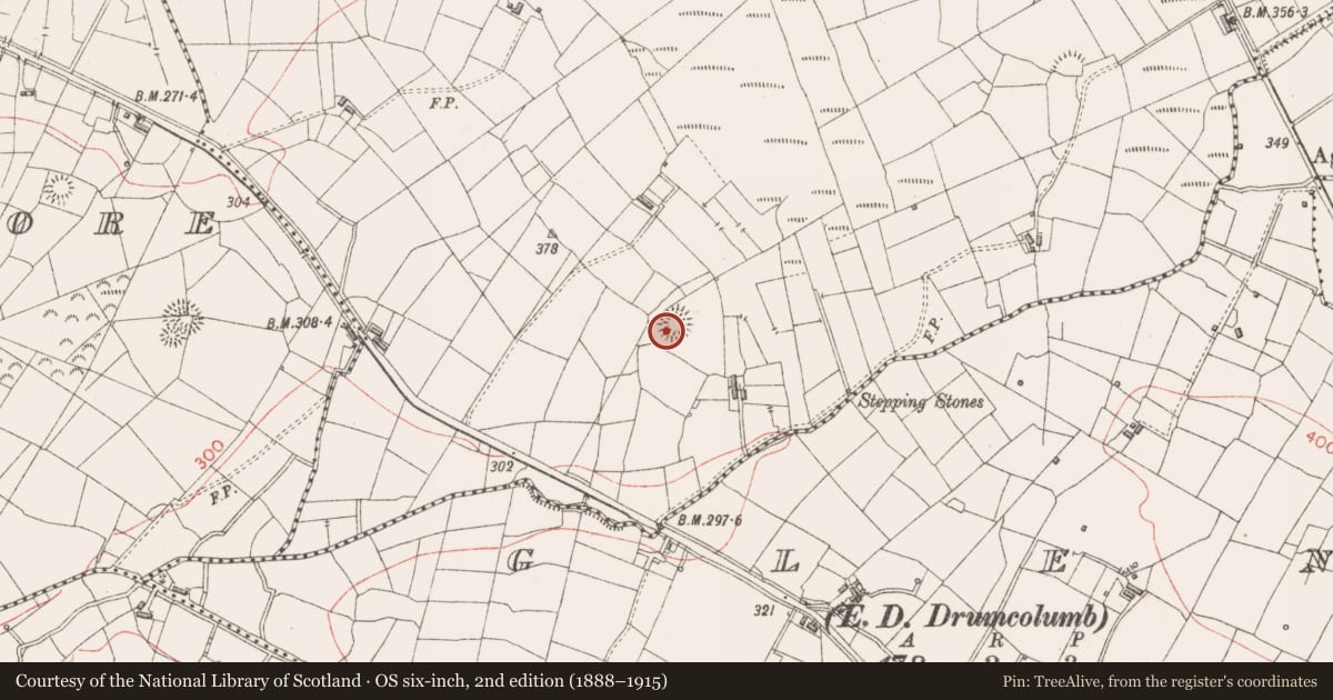 Ordnance Survey six-inch map, 2nd edition (1888–1915) covering the location of Ringfort - rath, Rooghan, County Sligo, with a pin at the register's coordinates