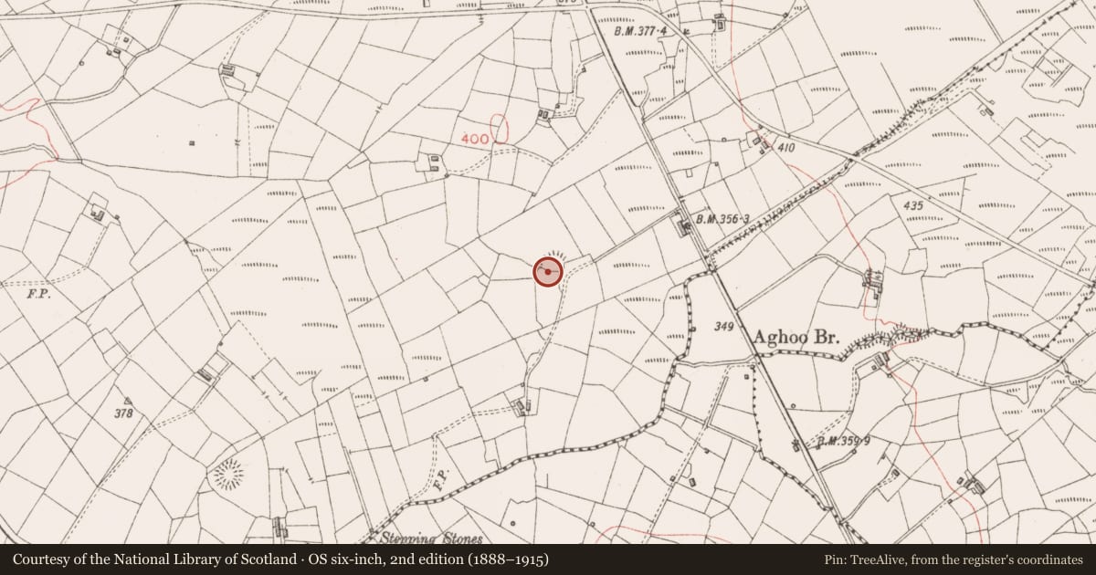 Ordnance Survey six-inch map, 2nd edition (1888–1915) covering the location of Enclosure, Rooghan, County Sligo, with a pin at the register's coordinates