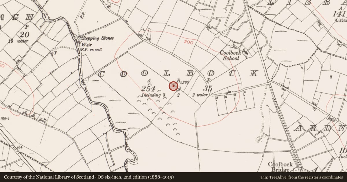 Ordnance Survey six-inch map, 2nd edition (1888–1915) covering the location of Hut site, Coolbock, County Sligo, with a pin at the register's coordinates
