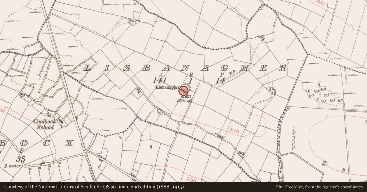 Ordnance Survey six-inch map, 2nd edition (1888–1915) covering the location of Ringfort - rath, Lisbanagher, County Sligo, with a pin at the register's coordinates