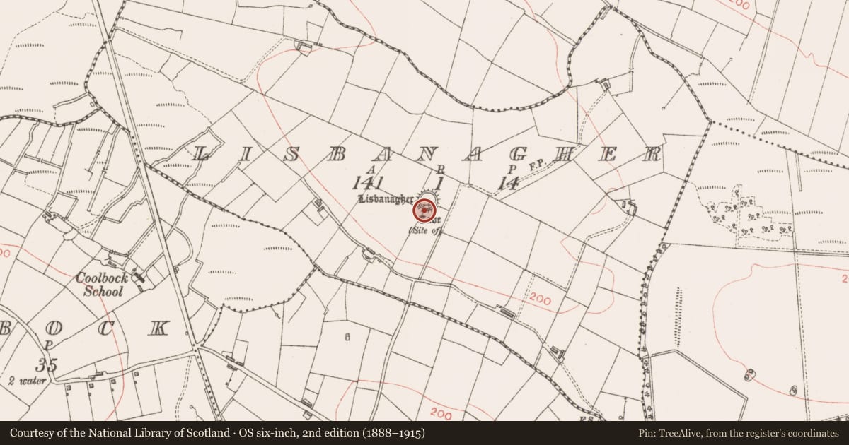 Ordnance Survey six-inch map, 2nd edition (1888–1915) covering the location of Souterrain, Lisbanagher, County Sligo, with a pin at the register's coordinates
