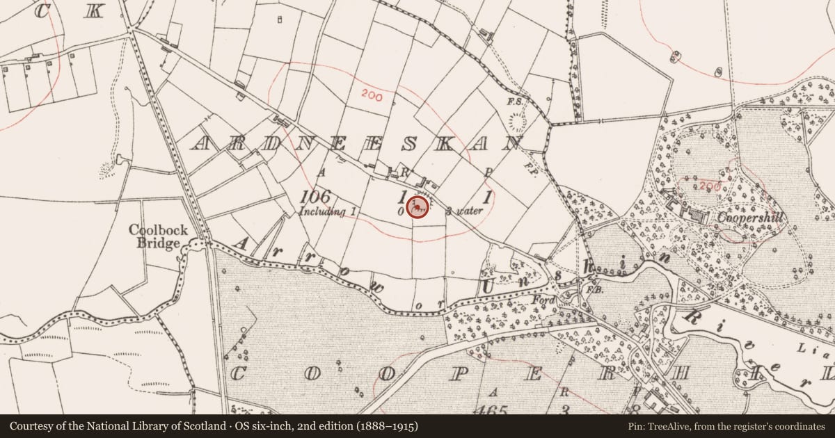 Ordnance Survey six-inch map, 2nd edition (1888–1915) covering the location of Ringfort - rath, Ardneeskan, County Sligo, with a pin at the register's coordinates