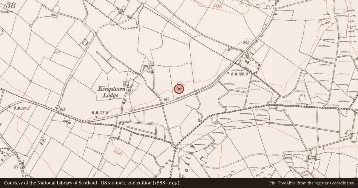 Ordnance Survey six-inch map, 2nd edition (1888–1915) covering the location of Ringfort - rath, Rusheen, County Sligo, with a pin at the register's coordinates