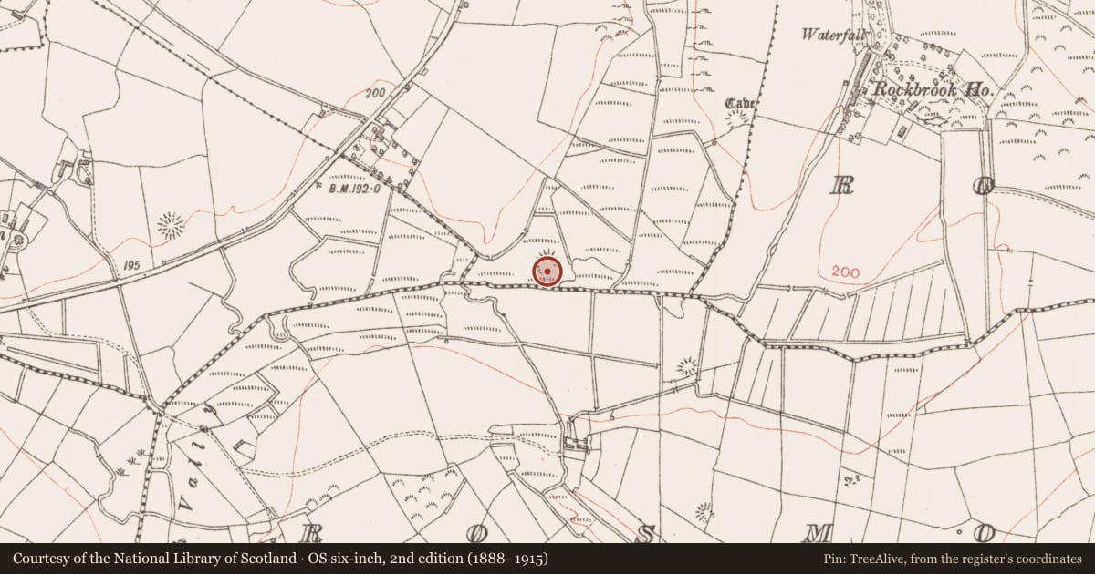 Ordnance Survey six-inch map, 2nd edition (1888–1915) covering the location of Enclosure, Rusheen, County Sligo, with a pin at the register's coordinates