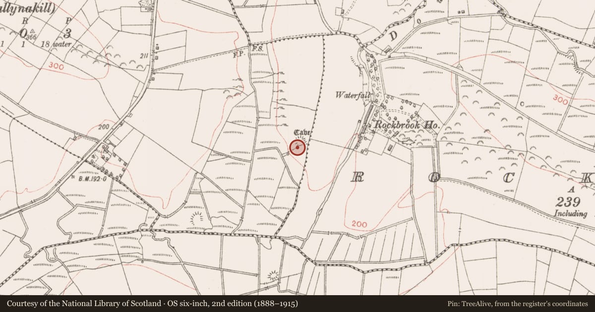 Ordnance Survey six-inch map, 2nd edition (1888–1915) covering the location of Ringfort - rath, Rusheen, County Sligo, with a pin at the register's coordinates