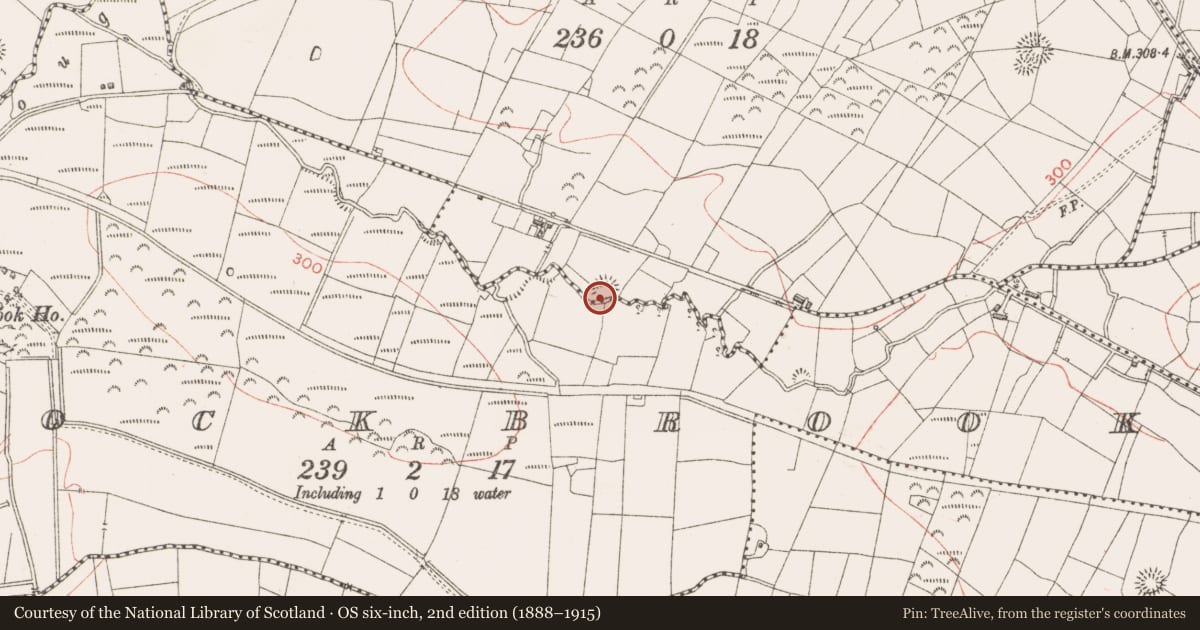 Ordnance Survey six-inch map, 2nd edition (1888–1915) covering the location of Ringfort - rath, Mullaghmore, County Sligo, with a pin at the register's coordinates