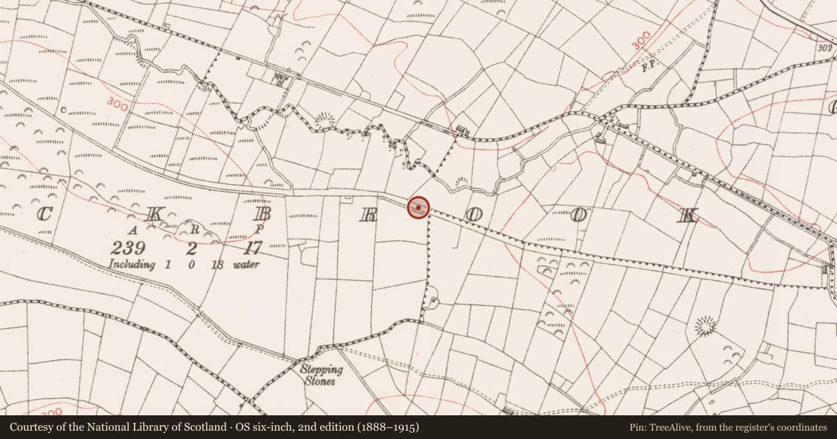 Ordnance Survey six-inch map, 2nd edition (1888–1915) covering the location of Ringfort - rath, Rockbrook, County Sligo, with a pin at the register's coordinates