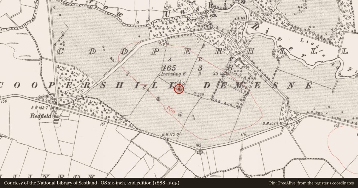 Ordnance Survey six-inch map, 2nd edition (1888–1915) covering the location of Ringfort - rath, Cooperhill, County Sligo, with a pin at the register's coordinates