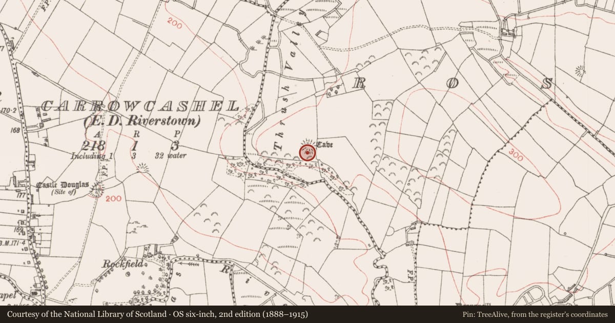 Ordnance Survey six-inch map, 2nd edition (1888–1915) covering the location of Ringfort - rath, Rosmore, County Sligo, with a pin at the register's coordinates