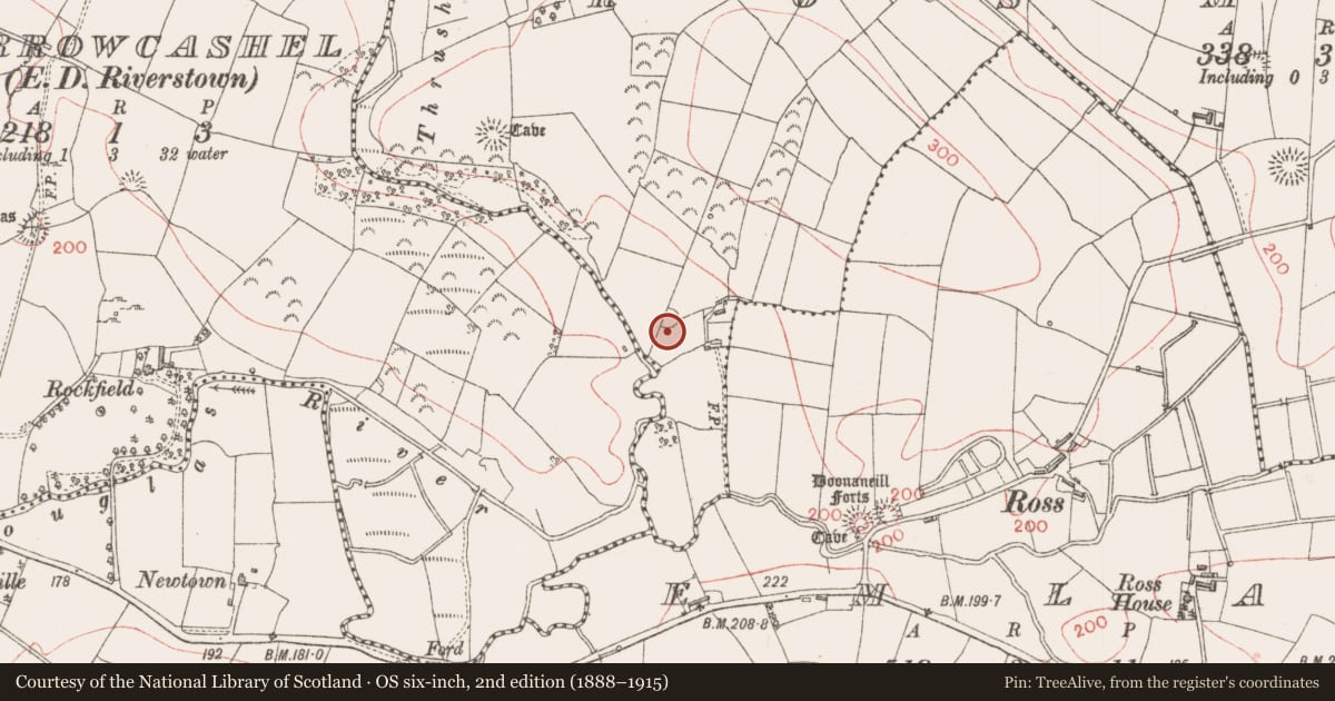 Ordnance Survey six-inch map, 2nd edition (1888–1915) covering the location of Ringfort - rath, Rosmore, County Sligo, with a pin at the register's coordinates