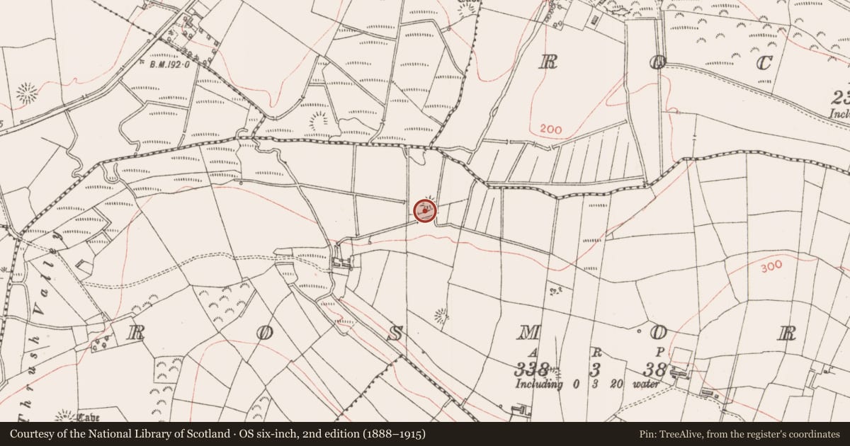 Ordnance Survey six-inch map, 2nd edition (1888–1915) covering the location of Enclosure, Rosmore, County Sligo, with a pin at the register's coordinates
