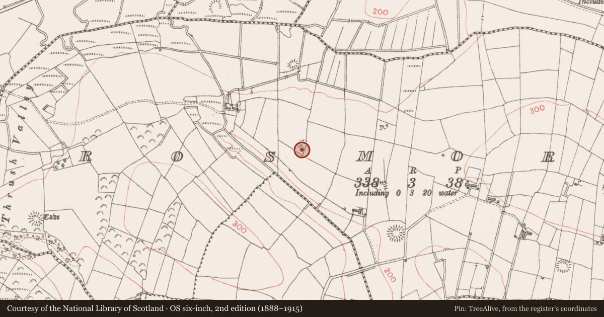 Ordnance Survey six-inch map, 2nd edition (1888–1915) covering the location of Ringfort - rath, Rosmore, County Sligo, with a pin at the register's coordinates
