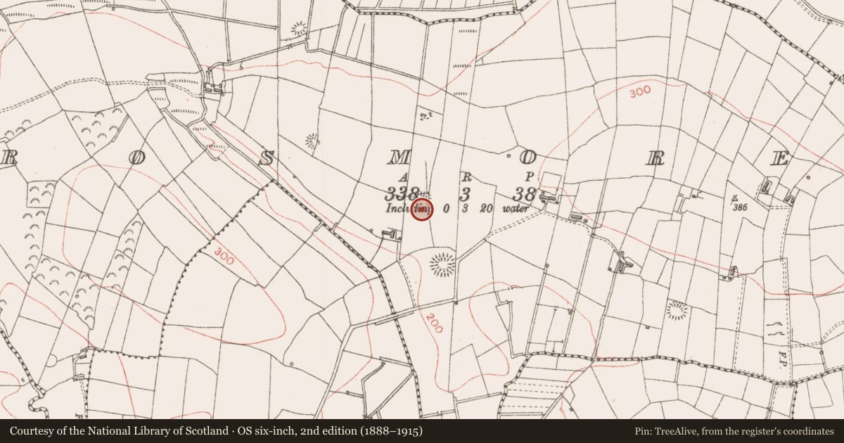 Ordnance Survey six-inch map, 2nd edition (1888–1915) covering the location of Ringfort - rath, Rosmore, County Sligo, with a pin at the register's coordinates