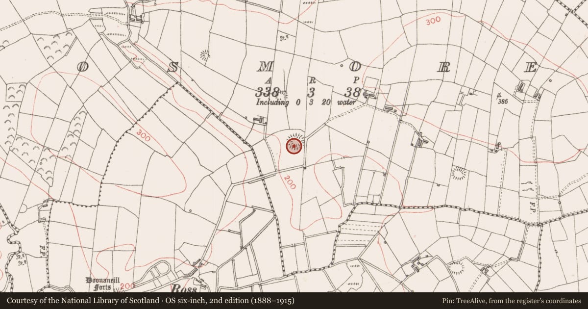 Ordnance Survey six-inch map, 2nd edition (1888–1915) covering the location of Ringfort - rath, Rosmore, County Sligo, with a pin at the register's coordinates