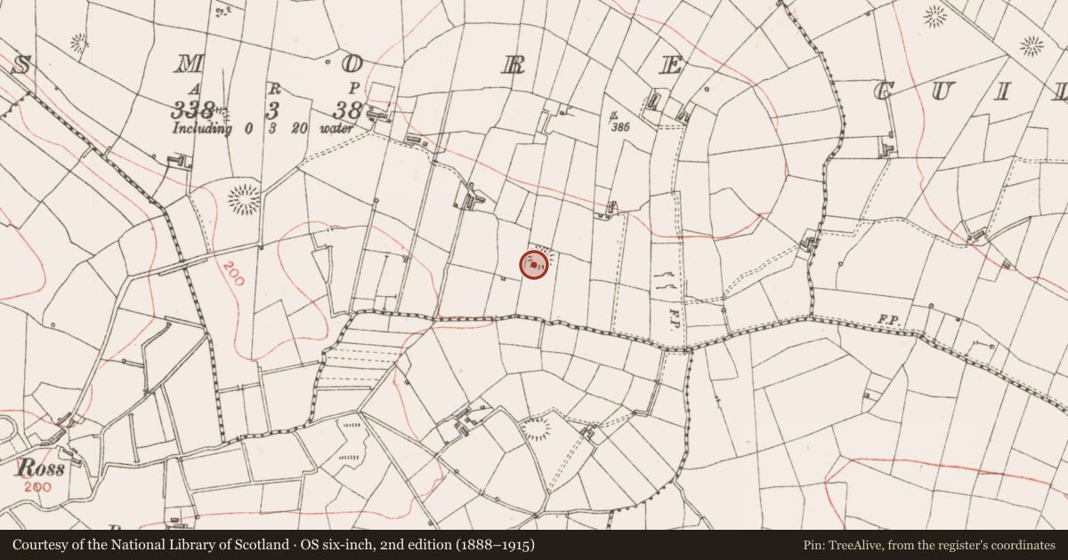 Ordnance Survey six-inch map, 2nd edition (1888–1915) covering the location of Ringfort - rath, Rosmore, County Sligo, with a pin at the register's coordinates