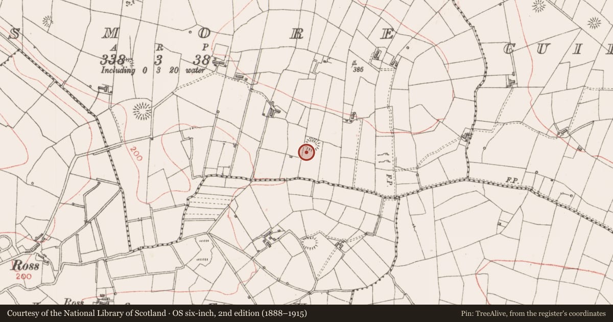 Ordnance Survey six-inch map, 2nd edition (1888–1915) covering the location of Souterrain, Rosmore, County Sligo, with a pin at the register's coordinates