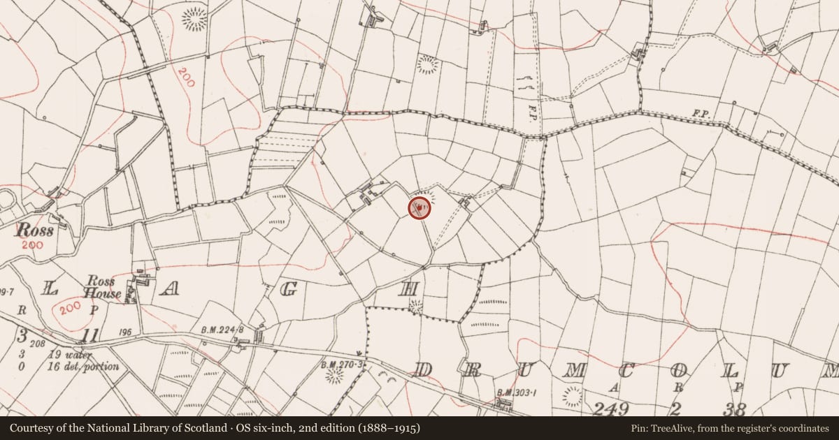 Ordnance Survey six-inch map, 2nd edition (1888–1915) covering the location of Ringfort - rath, Emlagh, County Sligo, with a pin at the register's coordinates