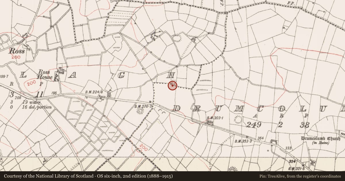 Ordnance Survey six-inch map, 2nd edition (1888–1915) covering the location of Ringfort - rath, Emlagh, County Sligo, with a pin at the register's coordinates