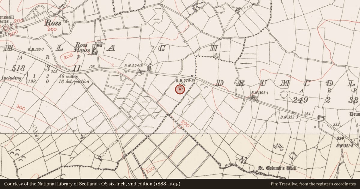 Ordnance Survey six-inch map, 2nd edition (1888–1915) covering the location of Ringfort - rath, Emlagh, County Sligo, with a pin at the register's coordinates