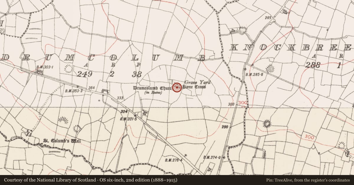 Ordnance Survey six-inch map, 2nd edition (1888–1915) covering the location of Cross - High cross, Drumcolumb, County Sligo, with a pin at the register's coordinates