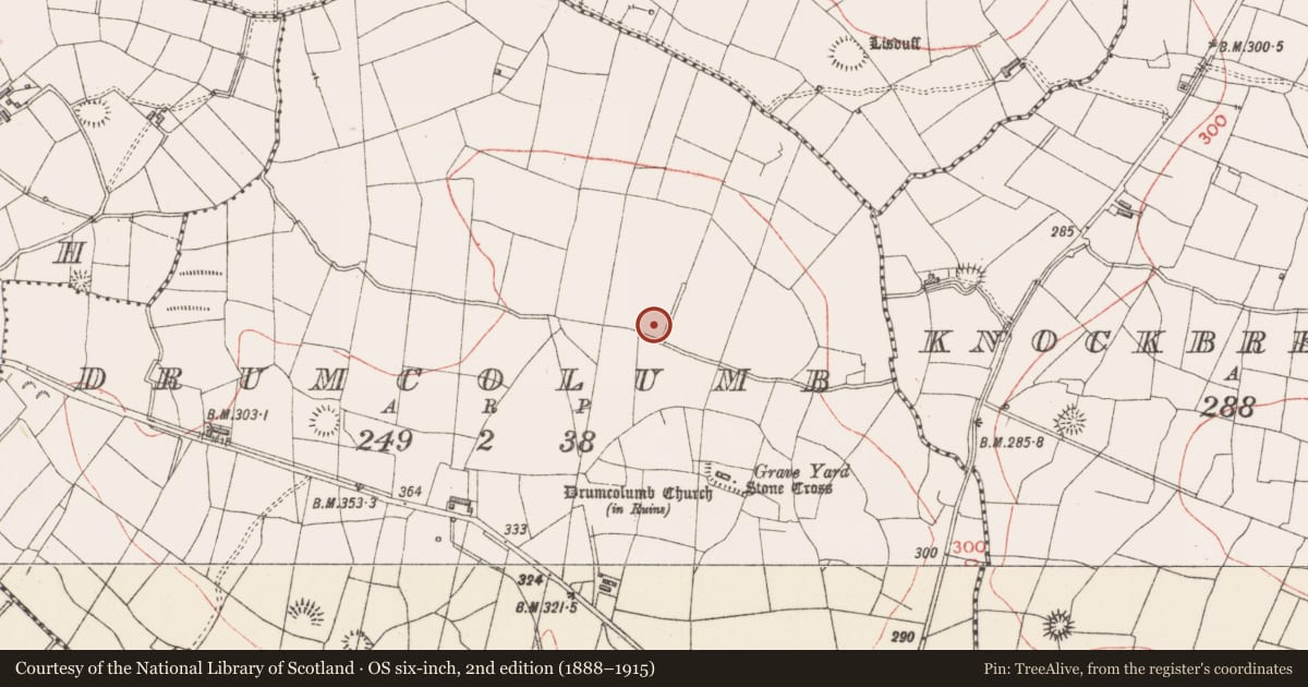 Ordnance Survey six-inch map, 2nd edition (1888–1915) covering the location of Ringfort - rath, Drumcolumb, County Sligo, with a pin at the register's coordinates