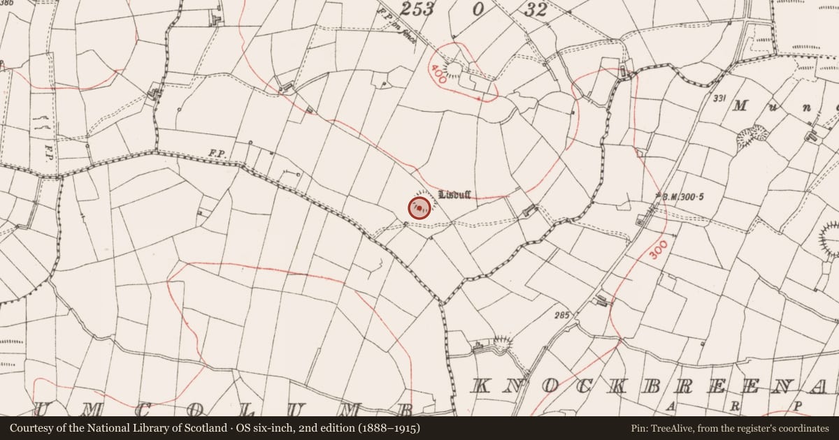 Ordnance Survey six-inch map, 2nd edition (1888–1915) covering the location of Ringfort - rath, Cuiltydangan, County Sligo, with a pin at the register's coordinates