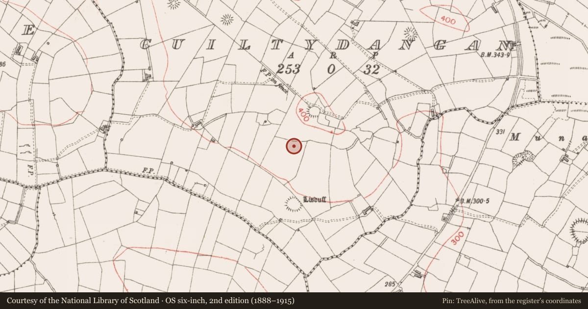 Ordnance Survey six-inch map, 2nd edition (1888–1915) covering the location of Ringfort - rath, Cuiltydangan, County Sligo, with a pin at the register's coordinates
