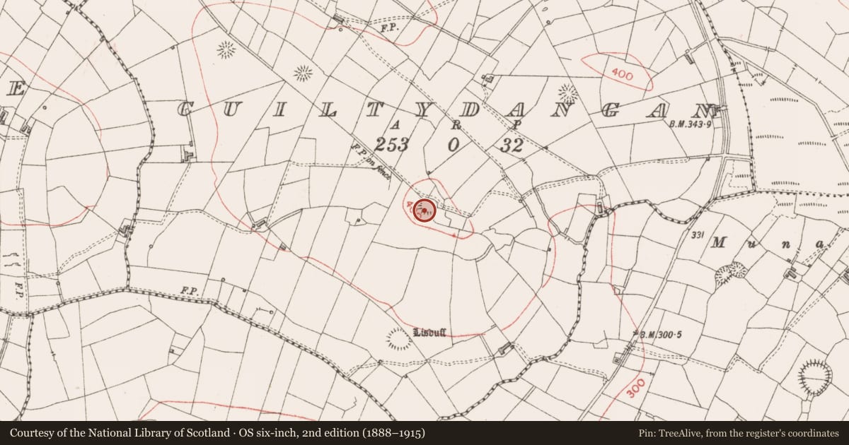 Ordnance Survey six-inch map, 2nd edition (1888–1915) covering the location of Ringfort - rath, Cuiltydangan, County Sligo, with a pin at the register's coordinates