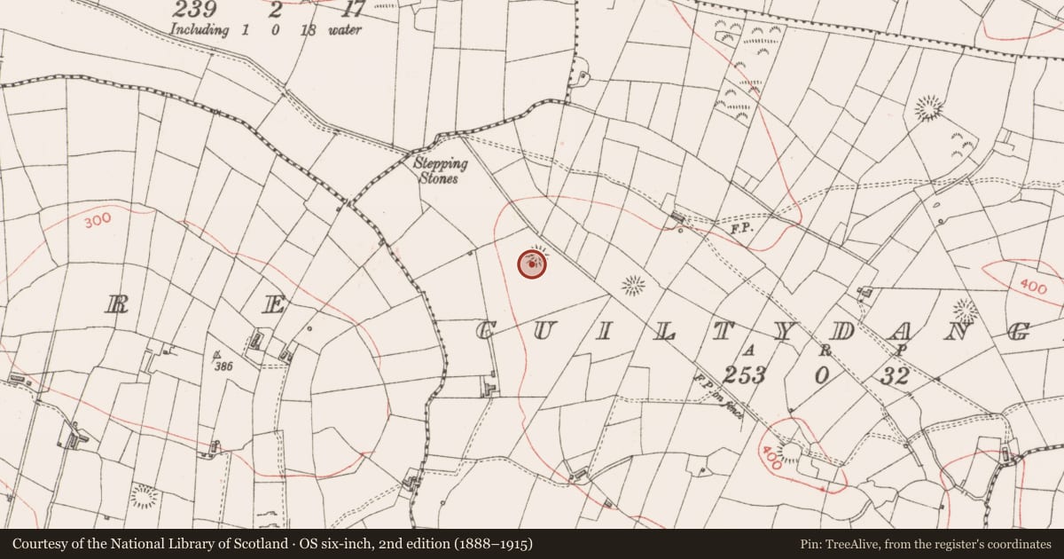 Ordnance Survey six-inch map, 2nd edition (1888–1915) covering the location of Ringfort - rath, Cuiltydangan, County Sligo, with a pin at the register's coordinates