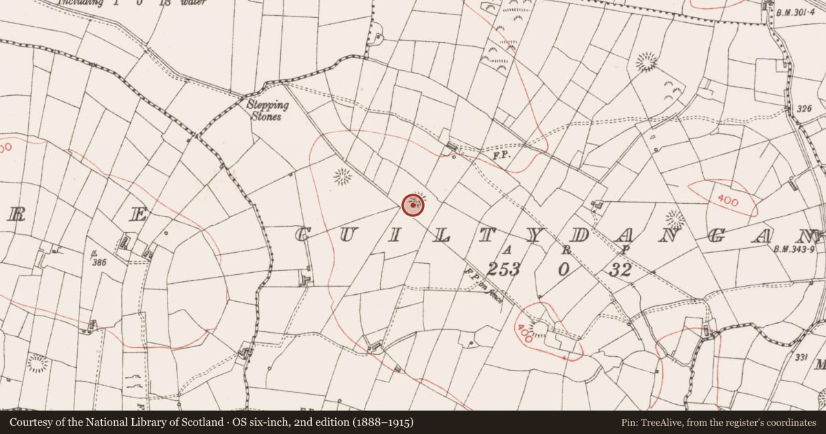 Ordnance Survey six-inch map, 2nd edition (1888–1915) covering the location of Ringfort - rath, Cuiltydangan, County Sligo, with a pin at the register's coordinates