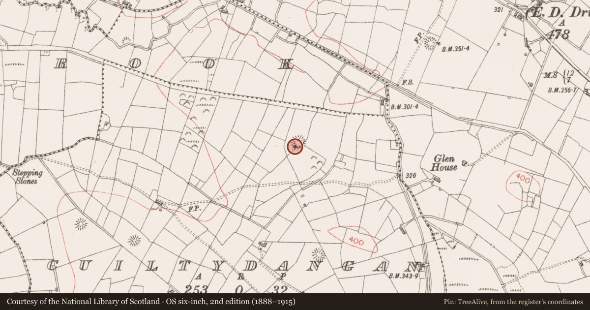 Ordnance Survey six-inch map, 2nd edition (1888–1915) covering the location of Ringfort - rath, Cuiltydangan, County Sligo, with a pin at the register's coordinates