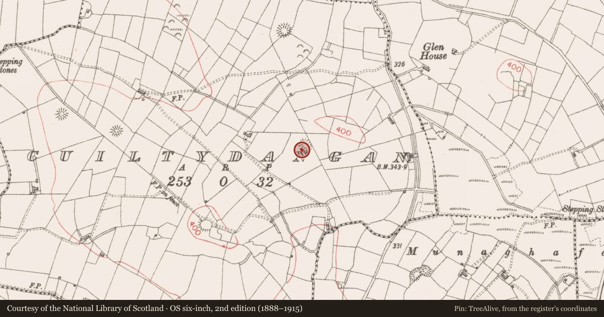 Ordnance Survey six-inch map, 2nd edition (1888–1915) covering the location of Ringfort - rath, Cuiltydangan, County Sligo, with a pin at the register's coordinates
