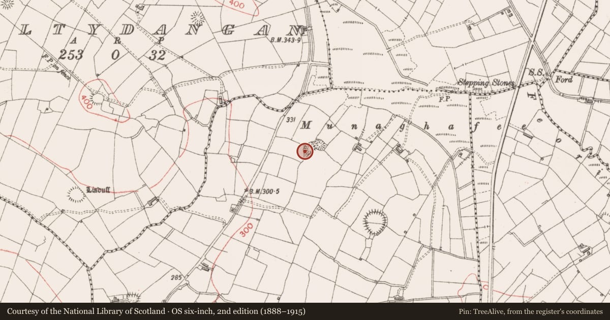 Ordnance Survey six-inch map, 2nd edition (1888–1915) covering the location of Ringfort - rath, Knockbreenagher, County Sligo, with a pin at the register's coordinates