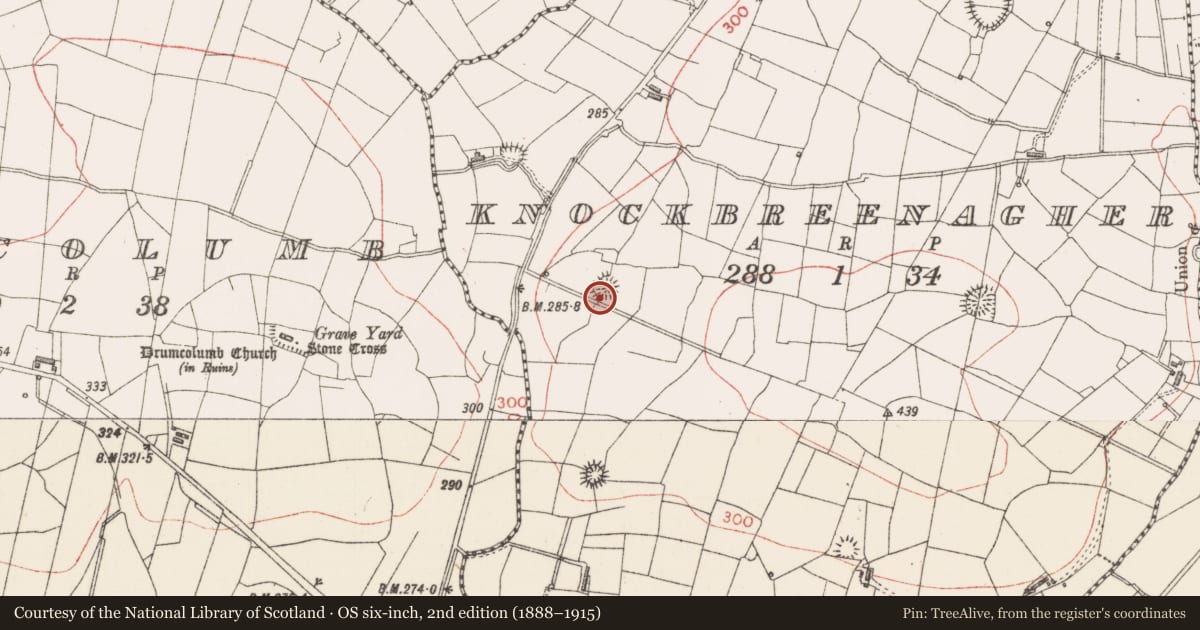 Ordnance Survey six-inch map, 2nd edition (1888–1915) covering the location of Ringfort - rath, Knockbreenagher, County Sligo, with a pin at the register's coordinates