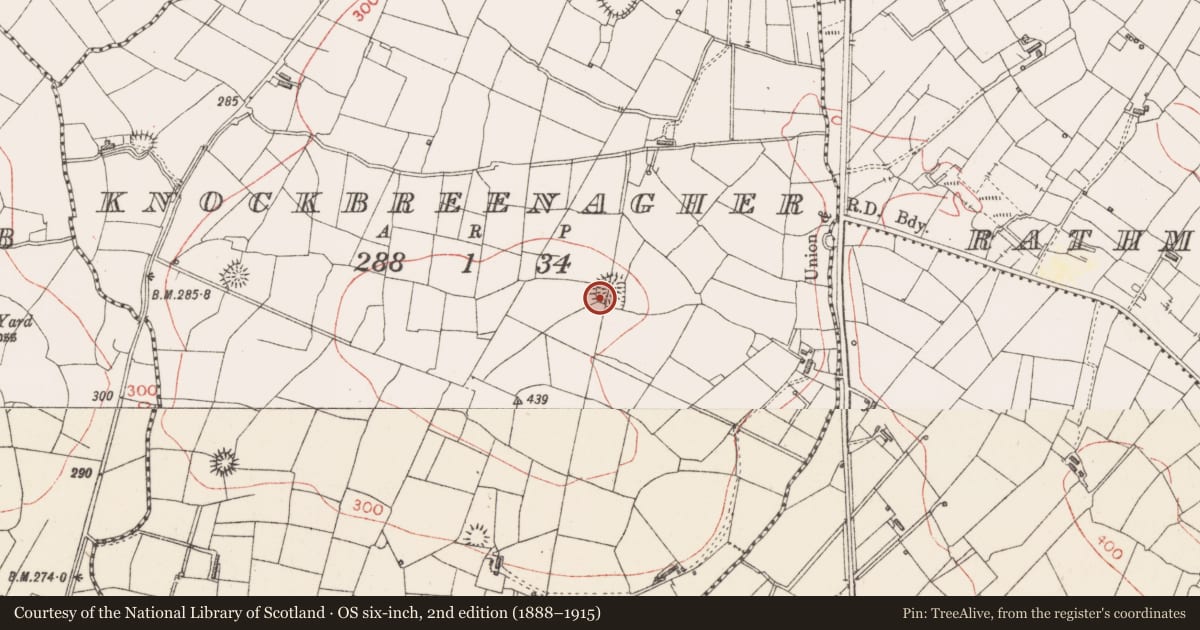 Ordnance Survey six-inch map, 2nd edition (1888–1915) covering the location of Ringfort - rath, Knockbreenagher, County Sligo, with a pin at the register's coordinates