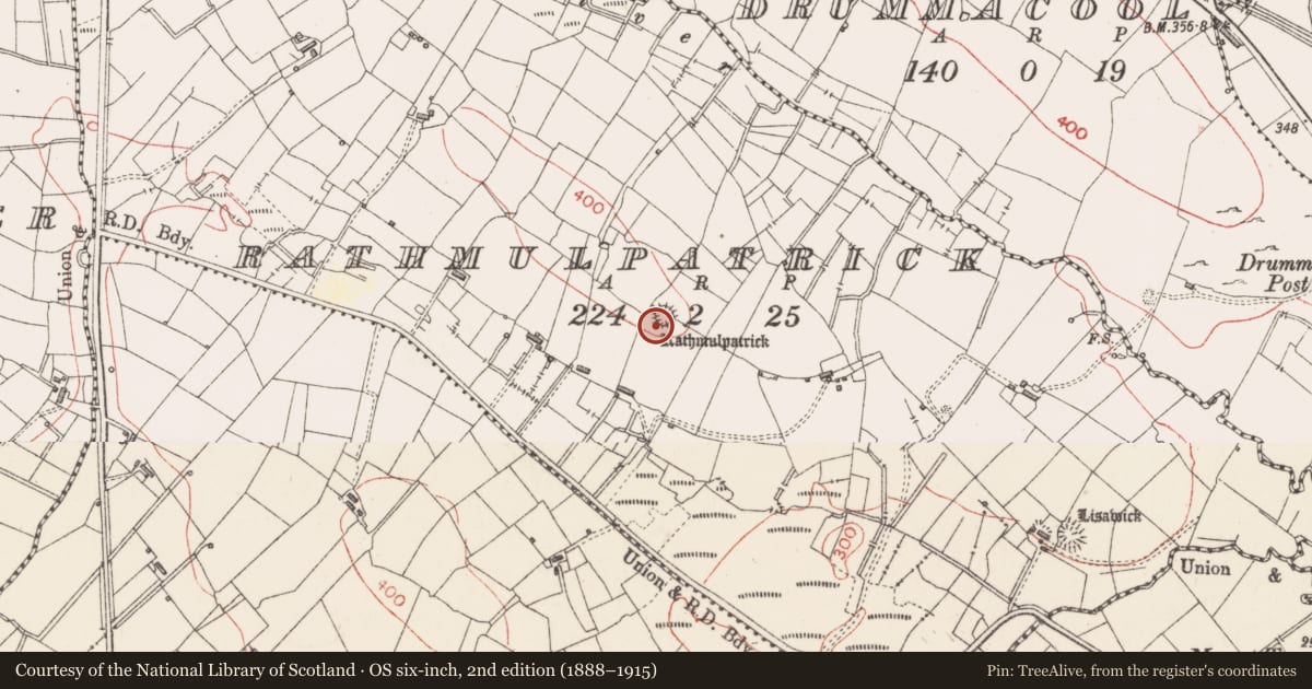 Ordnance Survey six-inch map, 2nd edition (1888–1915) covering the location of Ringfort - rath, Rathmulpatrick, County Sligo, with a pin at the register's coordinates