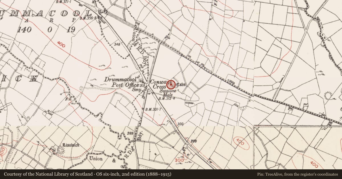 Ordnance Survey six-inch map, 2nd edition (1888–1915) covering the location of Ringfort - rath, Drummacool, County Sligo, with a pin at the register's coordinates