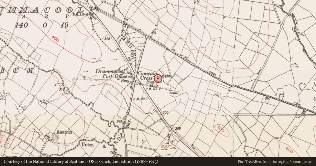 Ordnance Survey six-inch map, 2nd edition (1888–1915) covering the location of Souterrain, Drummacool, County Sligo, with a pin at the register's coordinates