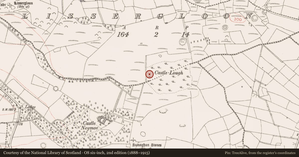 Ordnance Survey six-inch map, 2nd edition (1888–1915) covering the location of Crannog, Lissergloon, County Sligo, with a pin at the register's coordinates
