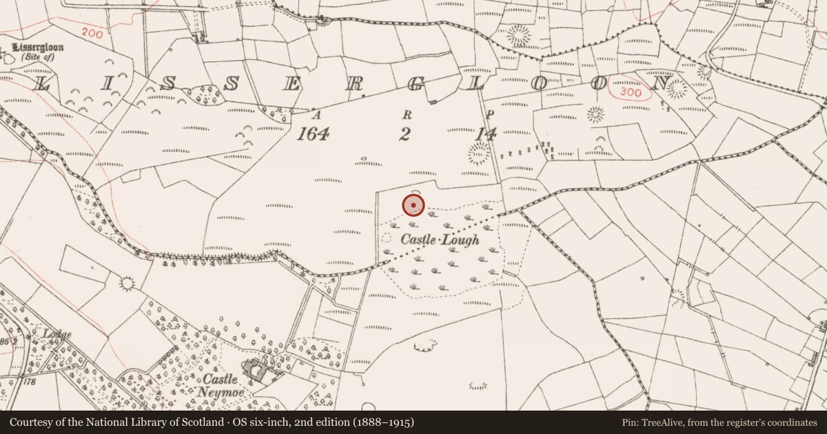 Ordnance Survey six-inch map, 2nd edition (1888–1915) covering the location of Enclosure, Lissergloon, County Sligo, with a pin at the register's coordinates