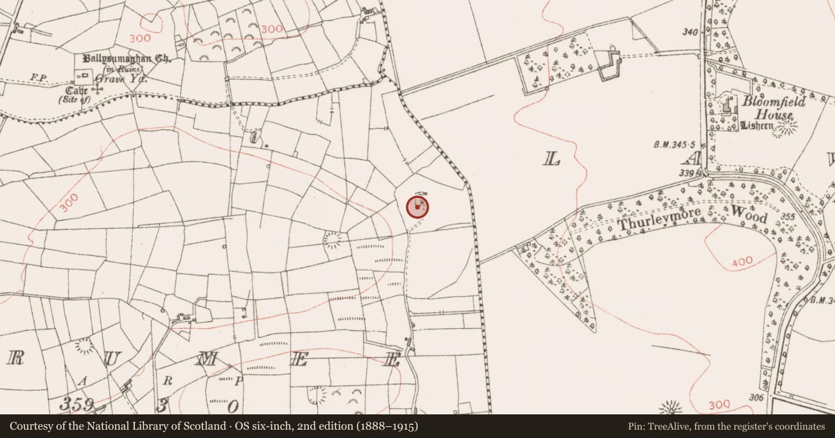 Ordnance Survey six-inch map, 2nd edition (1888–1915) covering the location of Stone head, Drumee, County Sligo, with a pin at the register's coordinates