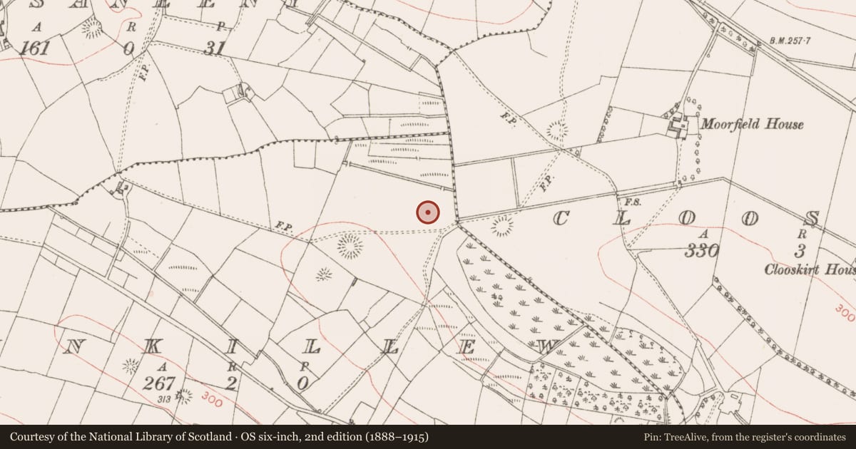 Ordnance Survey six-inch map, 2nd edition (1888–1915) covering the location of Enclosure, Kinkillew, County Sligo, with a pin at the register's coordinates
