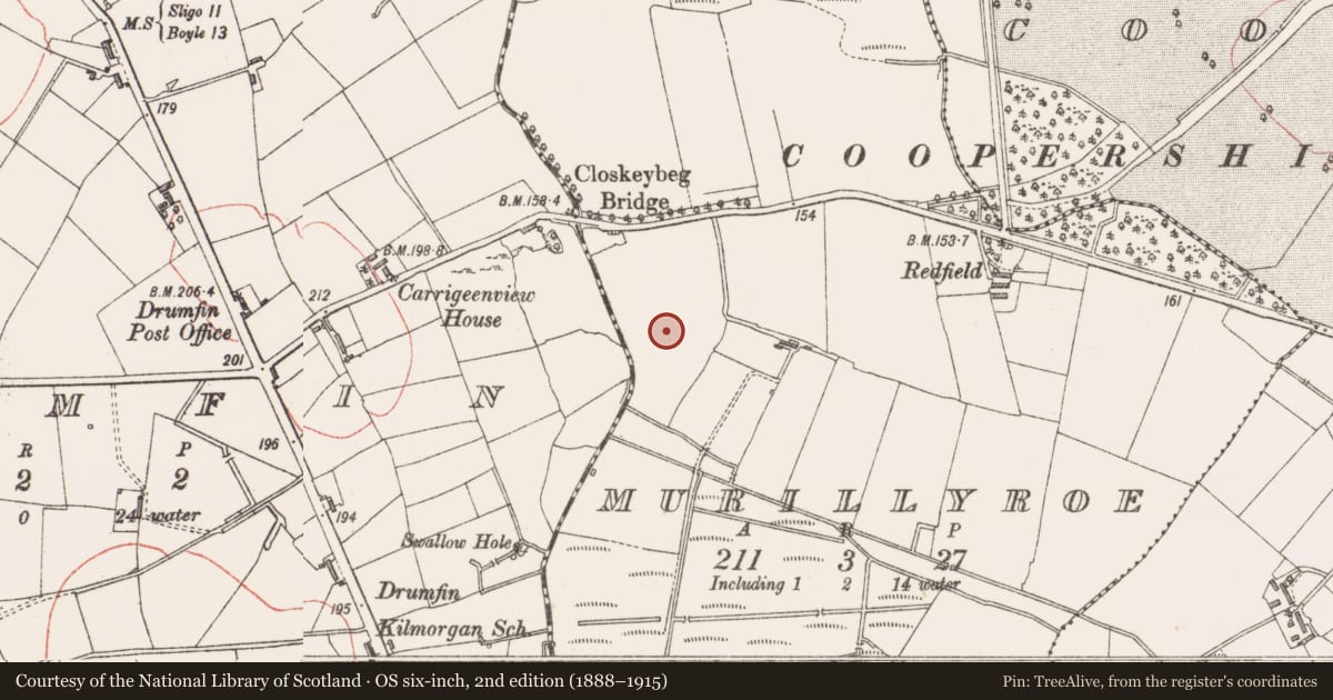 Ordnance Survey six-inch map, 2nd edition (1888–1915) covering the location of Enclosure, Murillyroe, County Sligo, with a pin at the register's coordinates