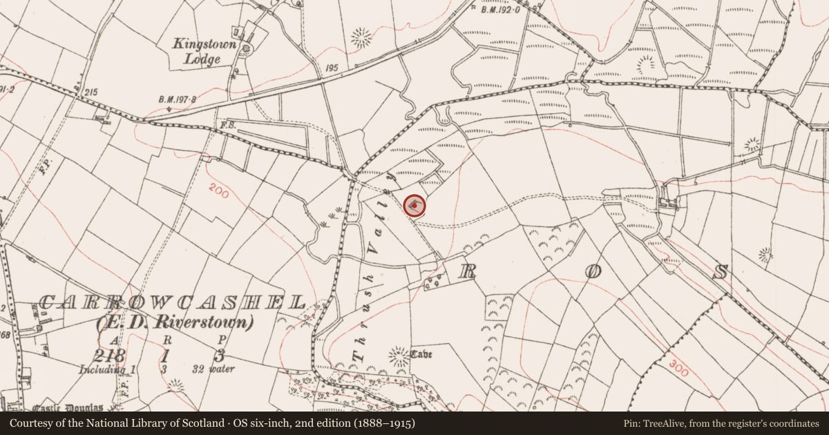 Ordnance Survey six-inch map, 2nd edition (1888–1915) covering the location of Ringfort - rath, Rosmore, County Sligo, with a pin at the register's coordinates