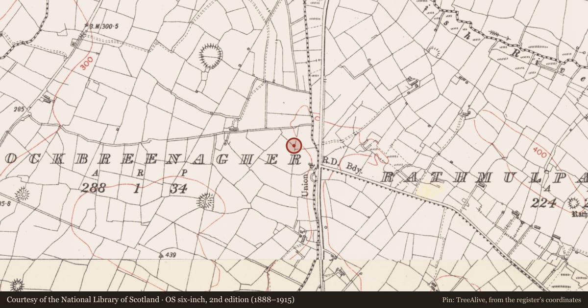 Ordnance Survey six-inch map, 2nd edition (1888–1915) covering the location of Burnt spread, Knockbreenagher, County Sligo, with a pin at the register's coordinates