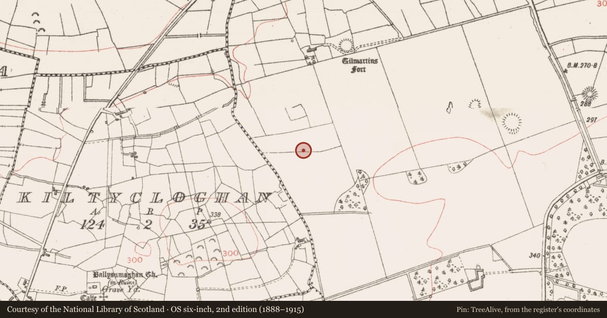 Ordnance Survey six-inch map, 2nd edition (1888–1915) covering the location of Enclosure, Lavally, County Sligo, with a pin at the register's coordinates