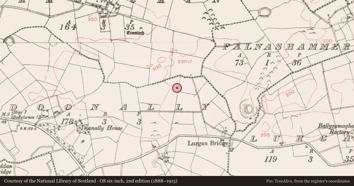 Ordnance Survey six-inch map, 2nd edition (1888–1915) covering the location of Enclosure, Doonally, County Sligo, with a pin at the register's coordinates