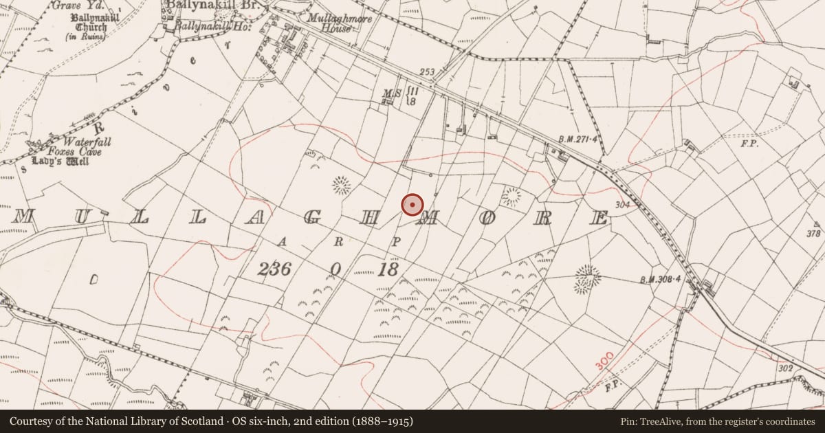 Ordnance Survey six-inch map, 2nd edition (1888–1915) covering the location of Enclosure, Mullaghmore, County Sligo, with a pin at the register's coordinates